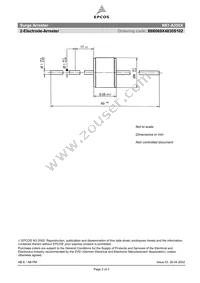 B88069X4830S102 Datasheet Page 2