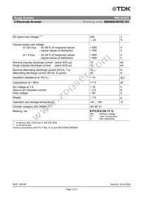 B88069X4870C103 Datasheet Page 3