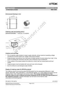 B88069X4890C103 Datasheet Page 3