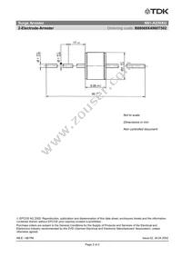 B88069X4960T502 Datasheet Page 2