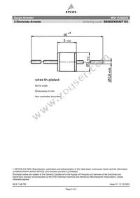 B88069X5040T103 Datasheet Page 2