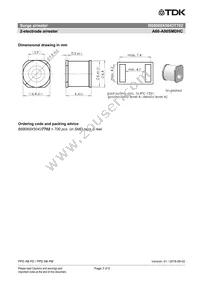 B88069X5043T702 Datasheet Page 3