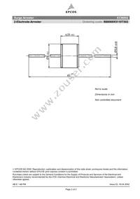 B88069X5110T502 Datasheet Page 2