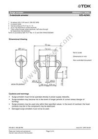 B88069X5171B502 Datasheet Page 3