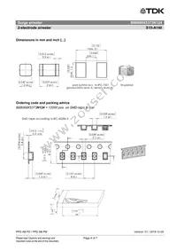 B88069X5373N124 Datasheet Page 4