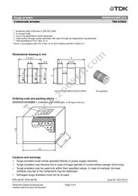 B88069X5480C253 Datasheet Page 3