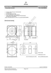 B88069X5581T502 Datasheet Page 3