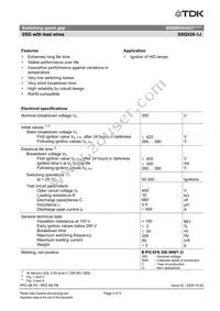 B88069X6331S102 Datasheet Page 2