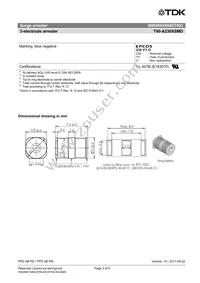 B88069X6680T902 Datasheet Page 3