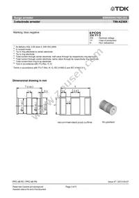 B88069X6700C253 Datasheet Page 3