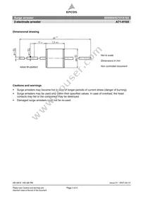 B88069X6701S102 Datasheet Page 3