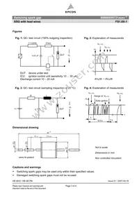 B88069X6721T502 Datasheet Page 3