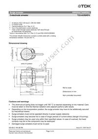 B88069X7000B502 Datasheet Page 3