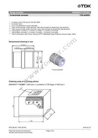 B88069X7110C203 Datasheet Page 3