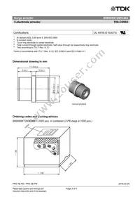 B88069X7260C203 Datasheet Page 3