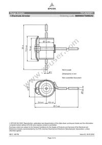 B88069X7540B202 Datasheet Page 2