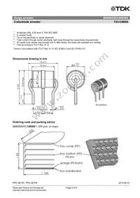 B88069X8120B502 Datasheet Page 3