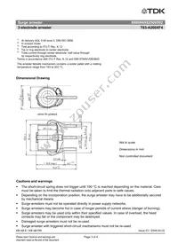 B88069X8250B502 Datasheet Page 3