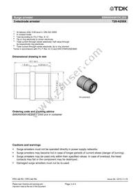 B88069X8810C203 Datasheet Page 3