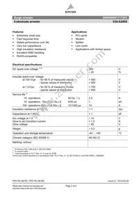 B88069X9171T203 Datasheet Page 2