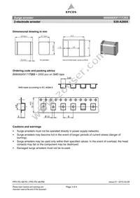 B88069X9171T203 Datasheet Page 3