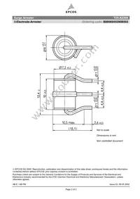 B88069X9290B502 Datasheet Page 2