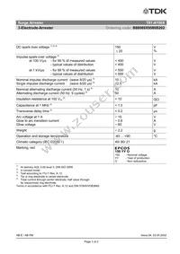 B88069X9580B202 Datasheet Page 3