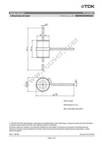 B88069X9580B202 Datasheet Page 4