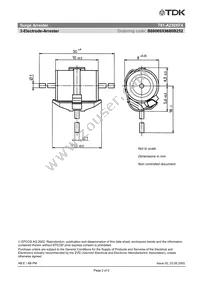 B88069X9680B252 Datasheet Page 4