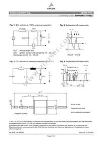 B88069X9770T502 Datasheet Page 2