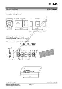 B88069X9991T203 Datasheet Page 4