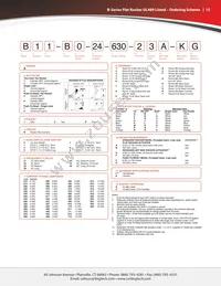 BA2-B0-22-625-227-D Datasheet Page 15