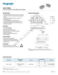 BC56-11SRWA Datasheet Cover