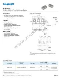 BC56-11YWA Datasheet Cover