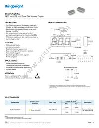 BC56-12CGKWA Datasheet Cover