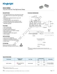 BC56-12SRWA Datasheet Cover