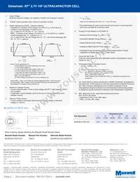 BCAP0010 P270 X01 Datasheet Page 2