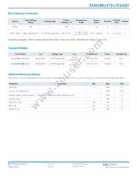 BCM380P475T1K2A31 Datasheet Page 4