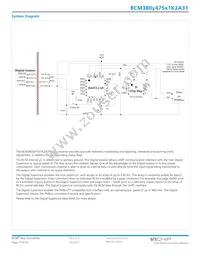 BCM380P475T1K2A31 Datasheet Page 17