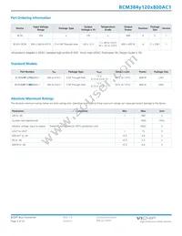 BCM384P120T800AC1 Datasheet Page 4