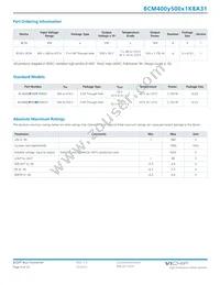 BCM400P500T1K8A31 Datasheet Page 4