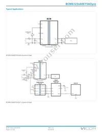 BCM6123T60E15A3T01 Datasheet Page 2