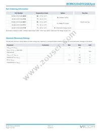 BCM6123TD1E2663T00 Datasheet Page 5
