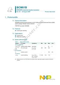 BCM61B Datasheet Page 2
