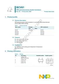 BCV61C Datasheet Page 2