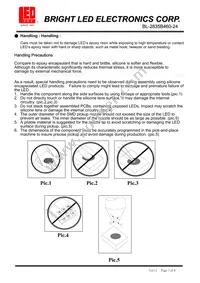 BL-2835B460-24 Datasheet Page 7