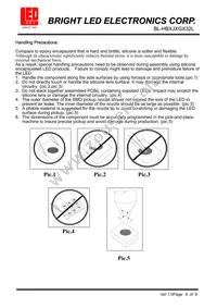 BL-HBXJXGX32L Datasheet Page 8