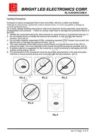 BL-HJDGKKC32M-A Datasheet Page 8