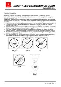 BL-HJLG6BH32L Datasheet Page 8