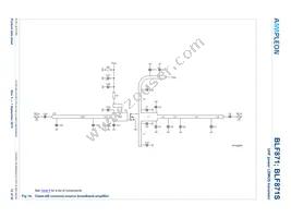 BLF871S Datasheet Page 12